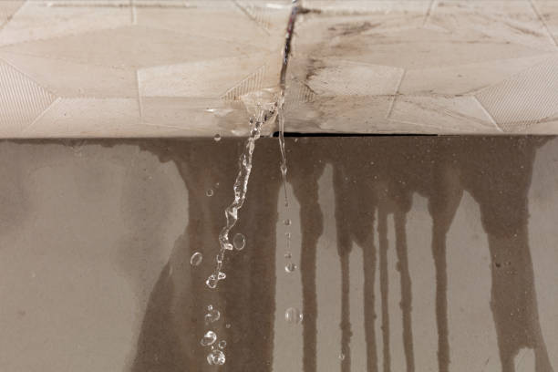 Professional Water Damage Inspection technician working in Attica, OH